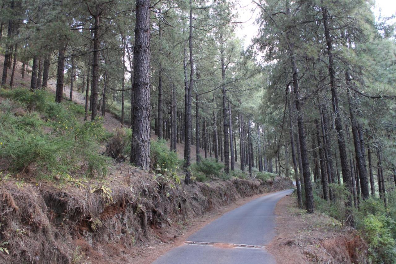 Finca El Cole Villa *