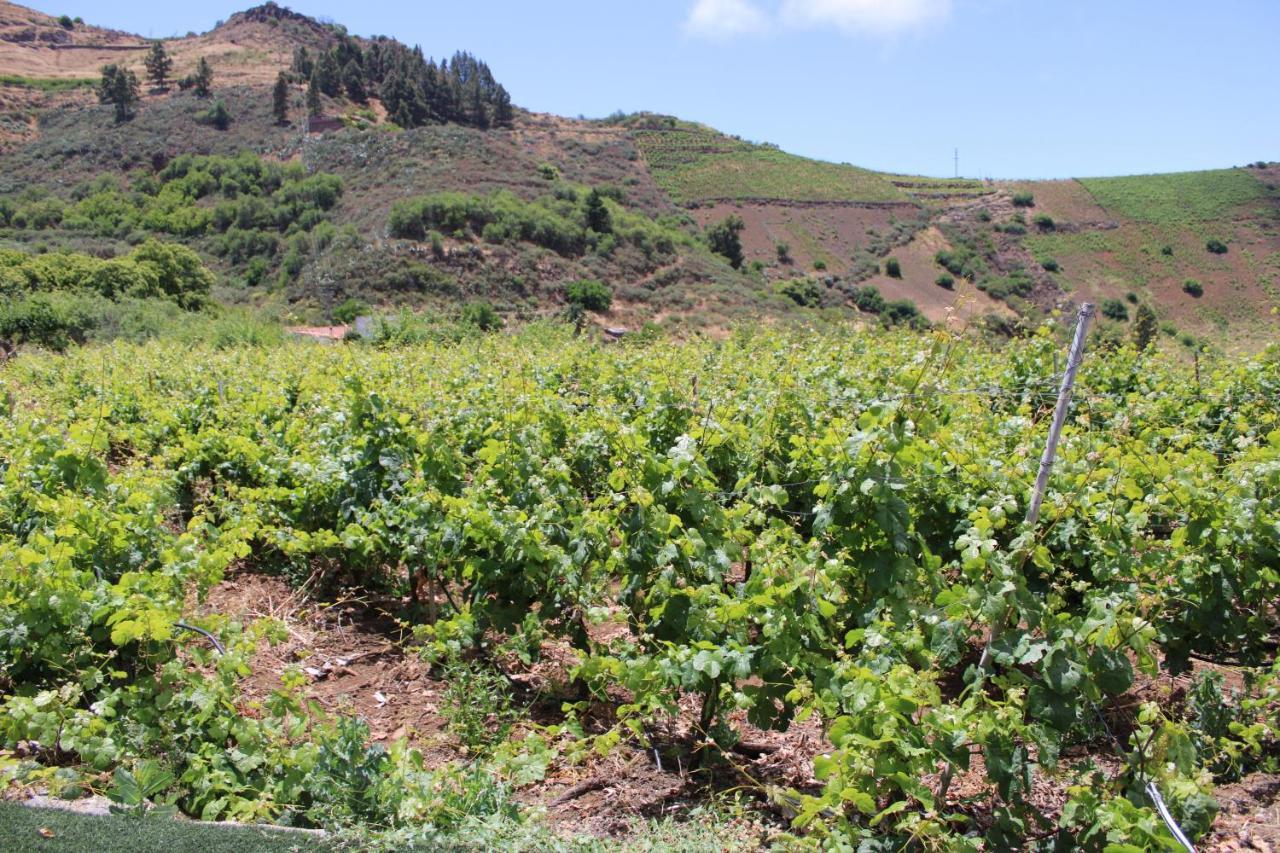 Finca El Cole Villa Las Palmas de Gran Canaria