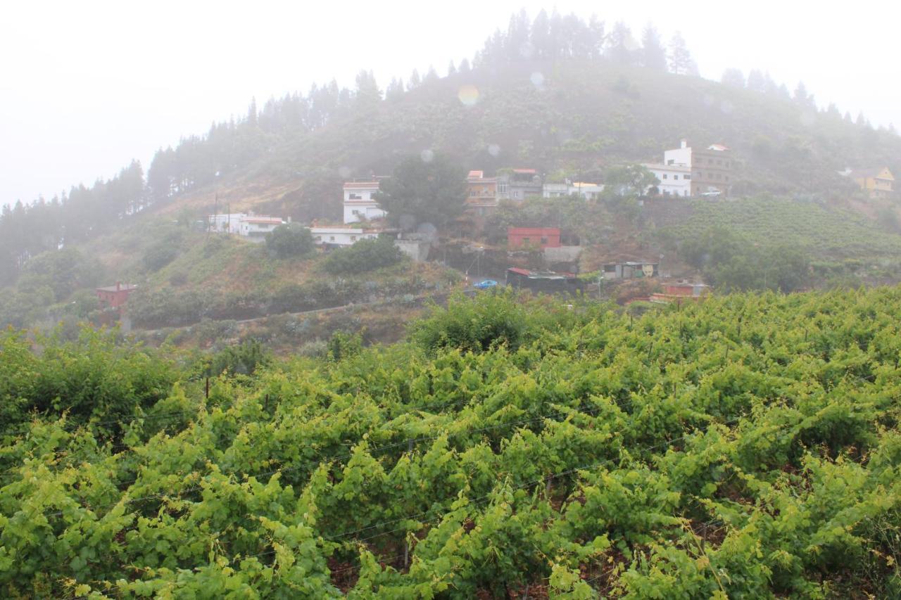 Finca El Cole Las Palmas de Gran Canaria