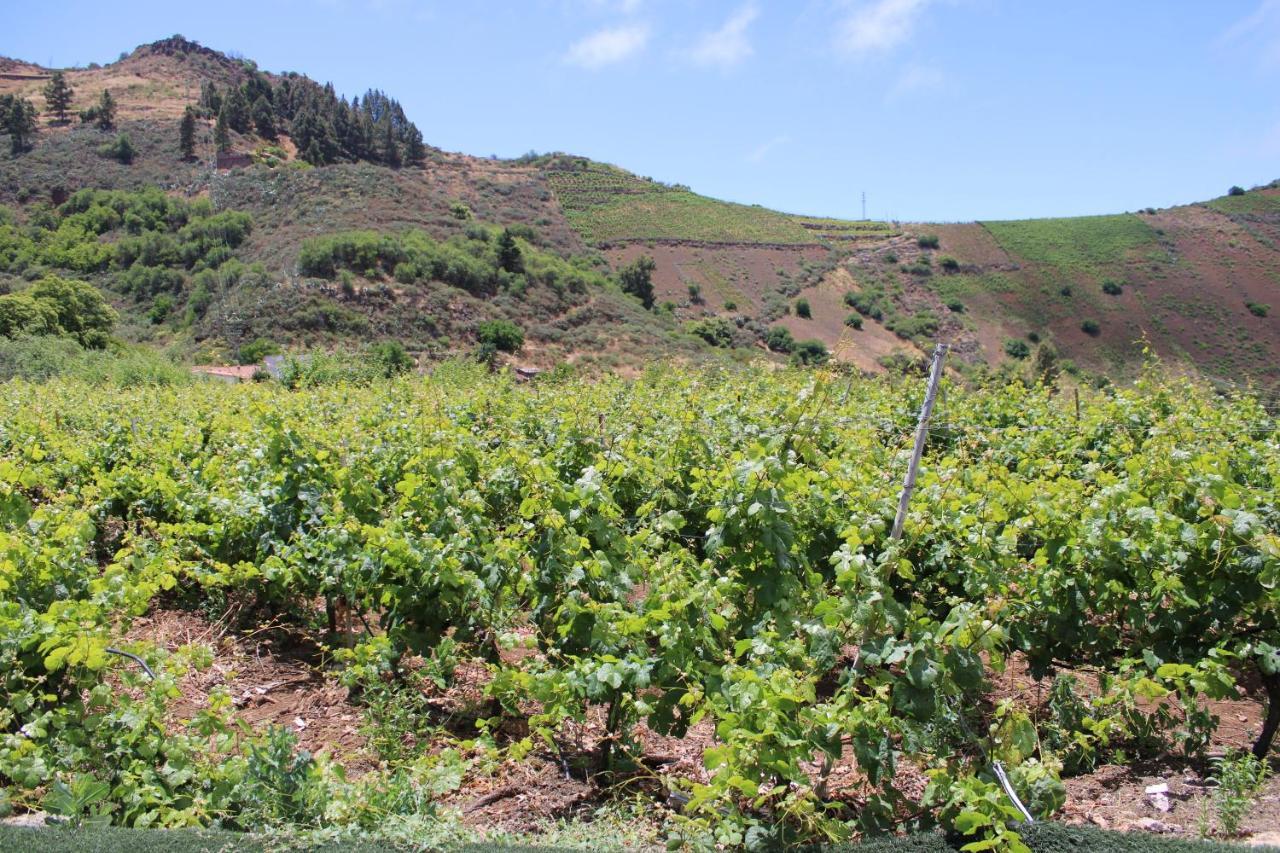 Finca El Cole Villa Las Palmas de Gran Canaria